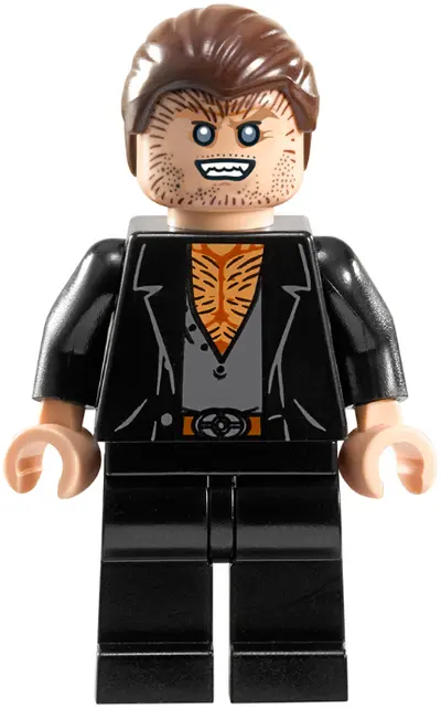 LEGO Harry Potter 10217 Diagon Alley set, image 21