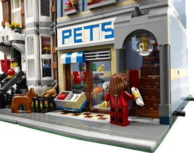 LEGO Advanced models 10218 Pet Shop set, image 24