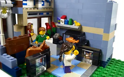 LEGO Advanced models 10218 Pet Shop set, image 6