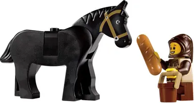 LEGO Castle 10223 Kingdoms Joust set, image 24