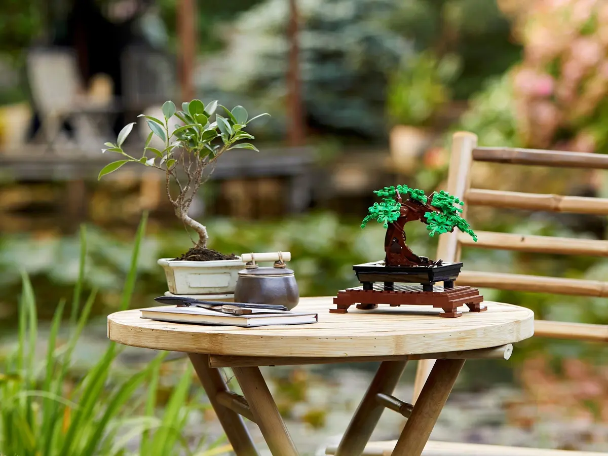 LEGO Icons 10281 Bonsai Tree set, image 12