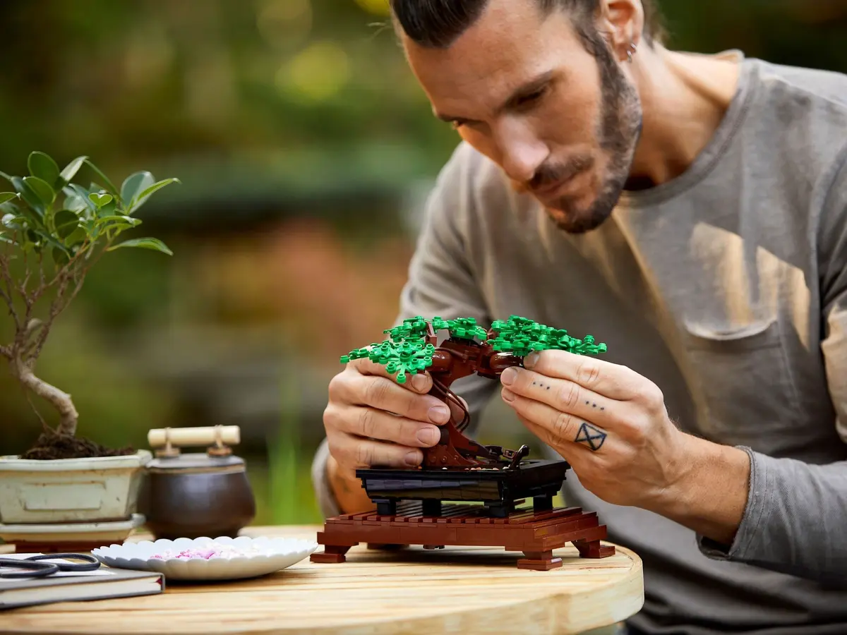 LEGO Icons 10281 Bonsai Tree set, image 13