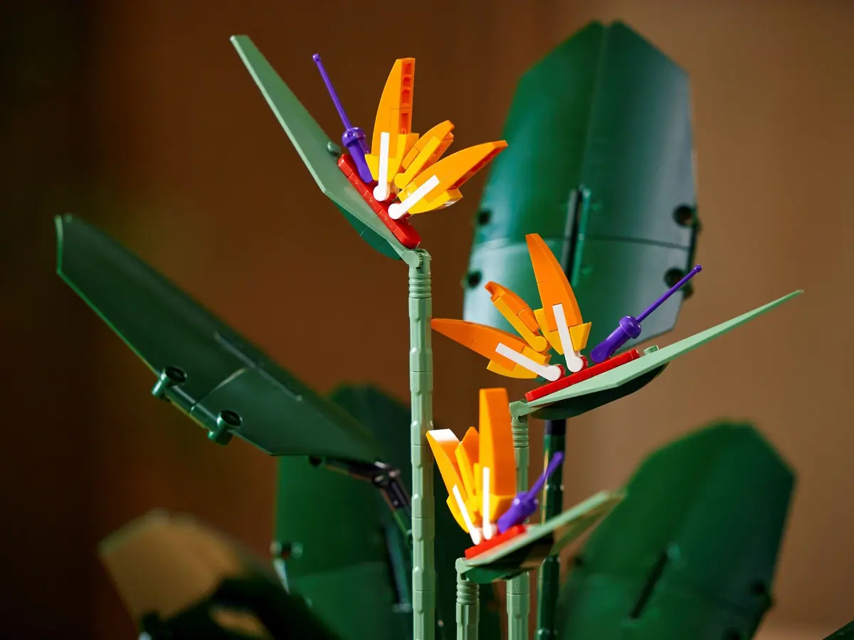 LEGO Icons 10289 Bird of Paradise set, image 5