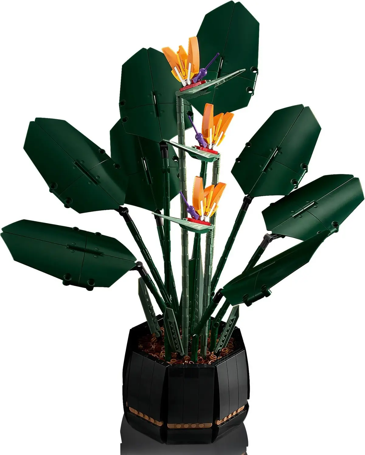 LEGO Icons 10289 Bird of Paradise set, image 10
