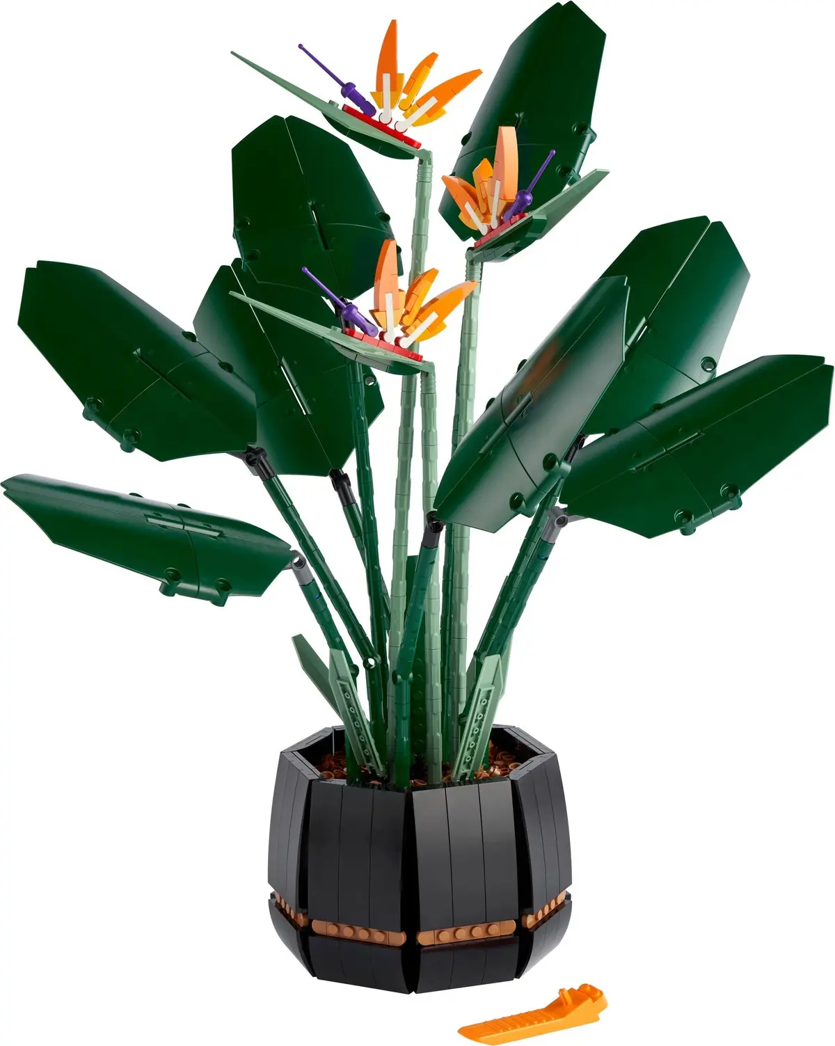 LEGO Icons 10289 Bird of Paradise set