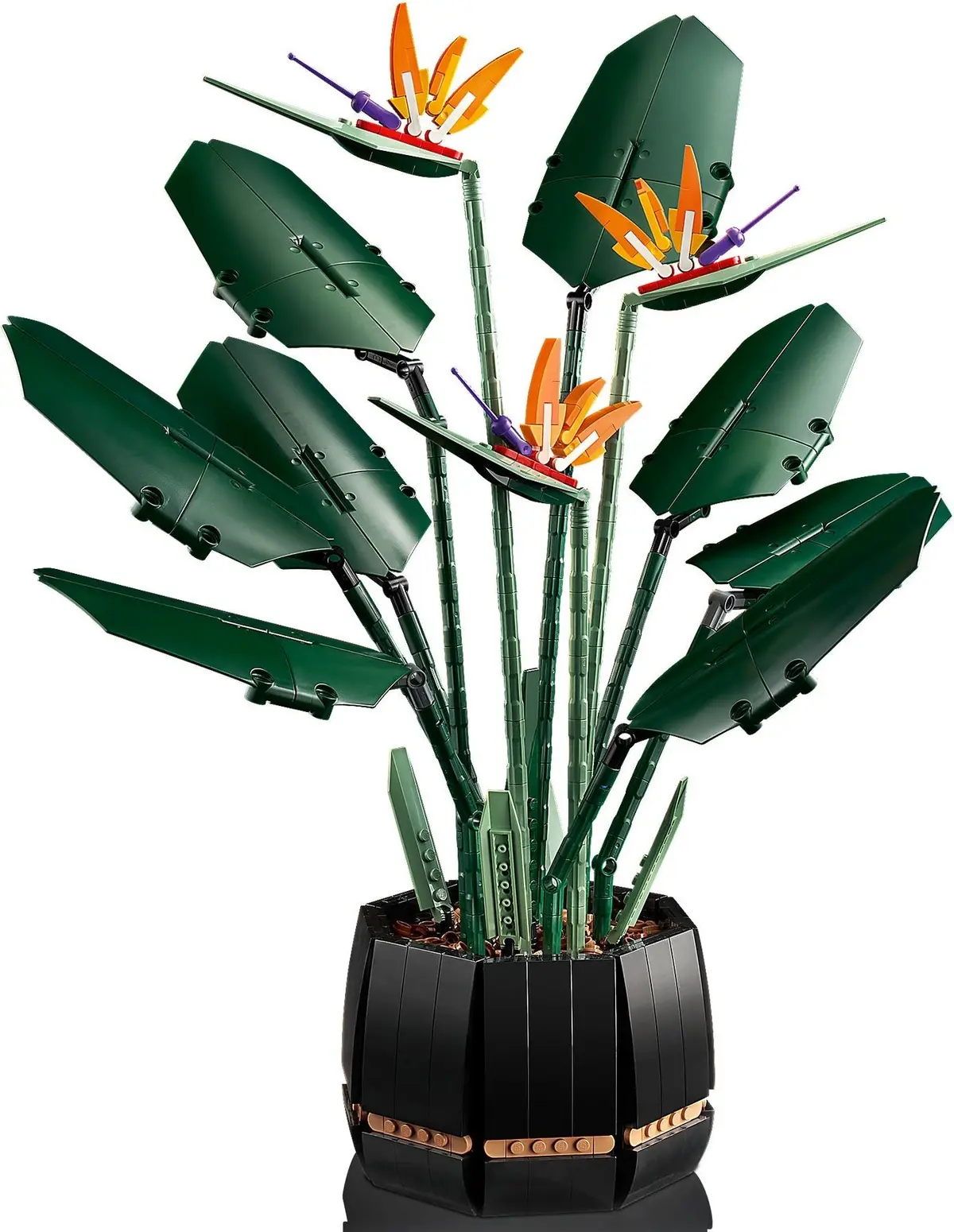 LEGO Icons 10289 Bird of Paradise set, image 8