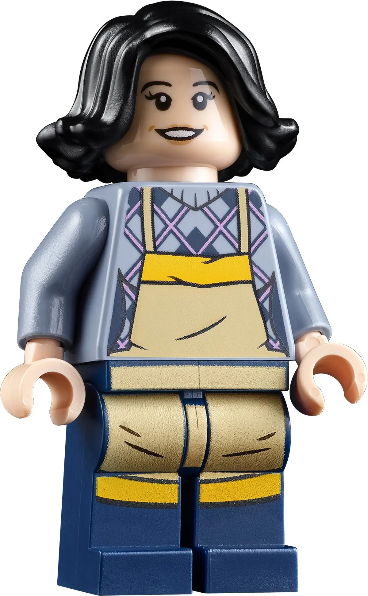 LEGO Icons 10292 The Friends Apartments set, image 13