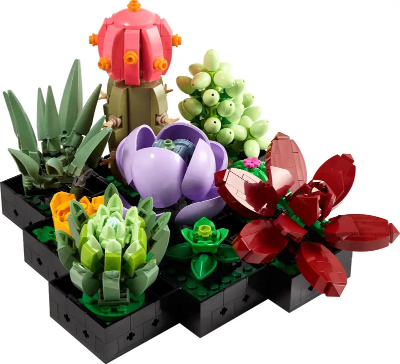 LEGO Icons 10309 Succulents set