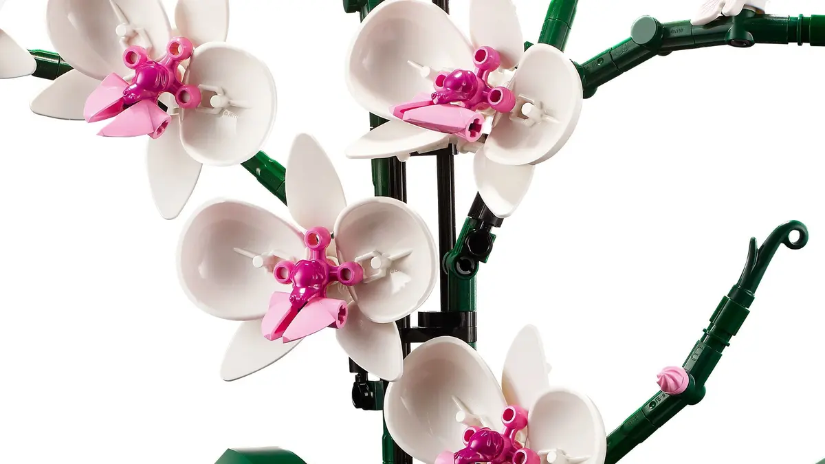 LEGO Icons 10311 Orchid set, image 4