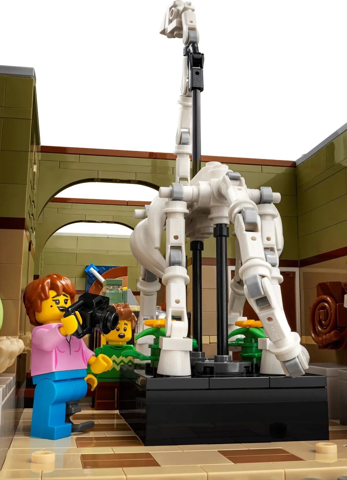 LEGO Icons 10326 Natural History Museum set, image 5