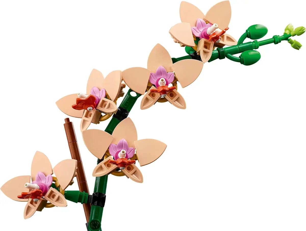 LEGO Botanicals 10343 Mini Orchid set, image 8
