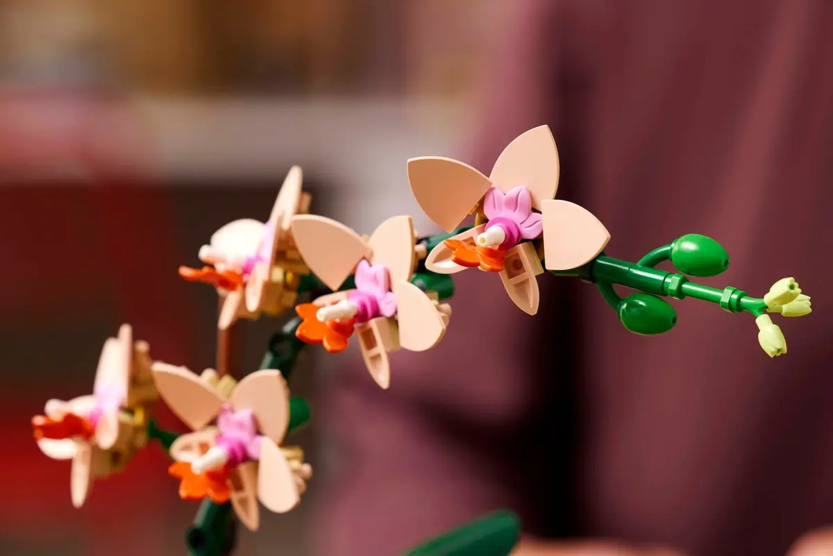 LEGO Botanicals 10343 Mini Orchid set, image 5