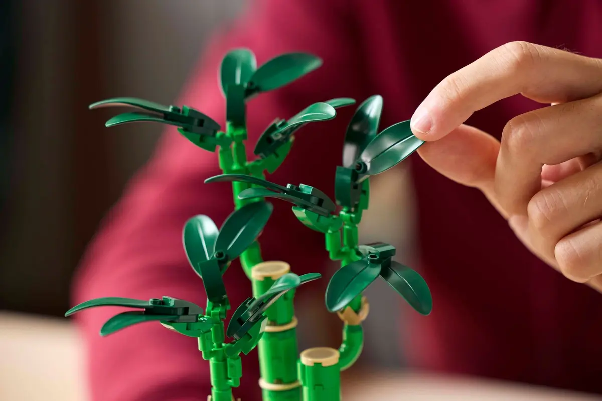 LEGO Botanicals 10344 Lucky Bamboo set, image 5