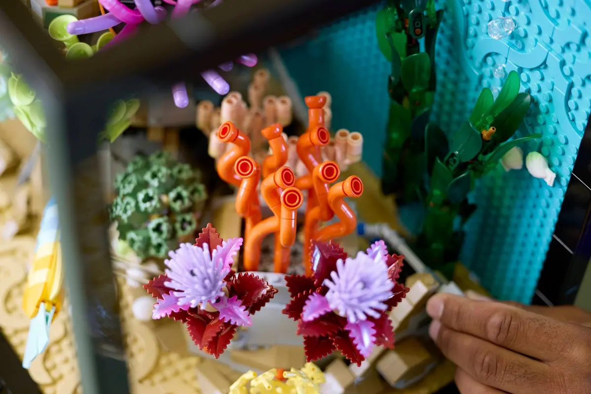 LEGO Icons 10366 Tropical Aquarium set, image 6