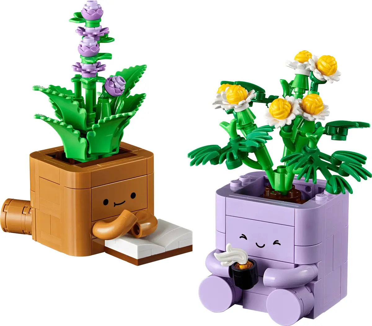 LEGO Botanicals 10371 Cosy Plants set