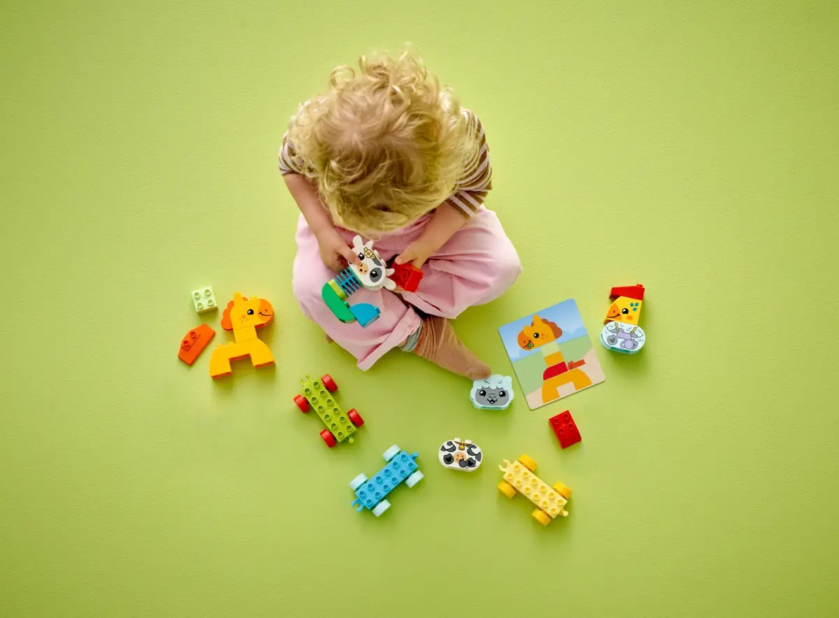 LEGO DUPLO 10412 Animal Train set, image 6