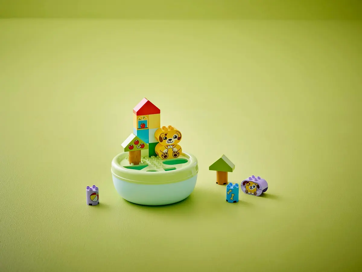 LEGO DUPLO 10441 Shape Sorter: Puppy House set, image 6
