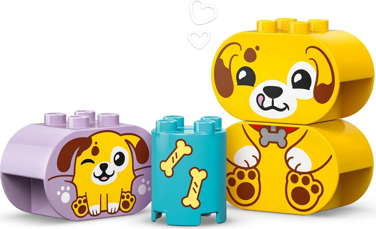 LEGO DUPLO 10441 Shape Sorter: Puppy House set, image 9