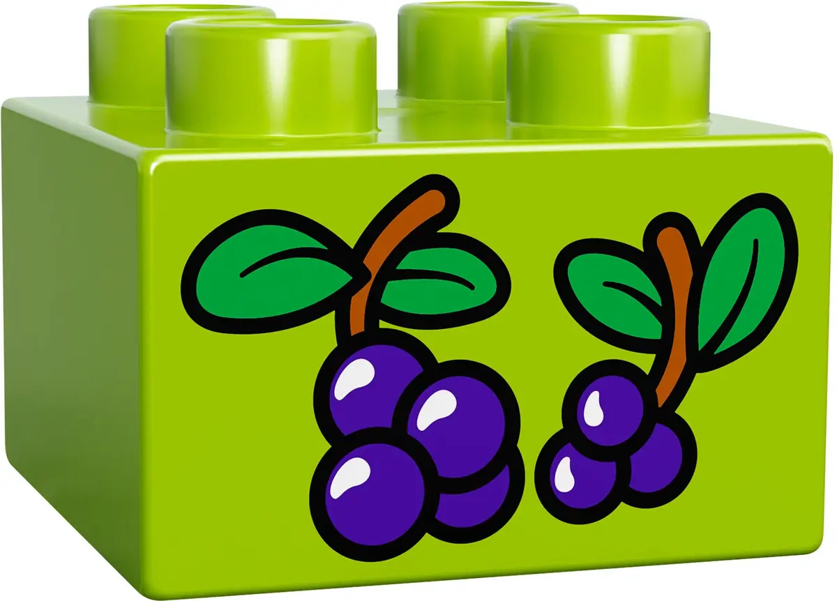 LEGO DUPLO 10576 Zoo Care set, image 2