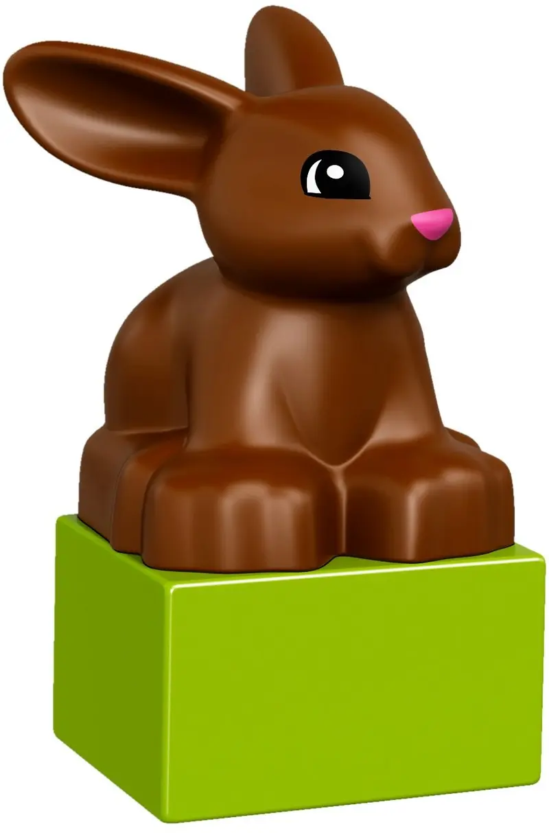 LEGO DUPLO 10838 Pets set, image 4