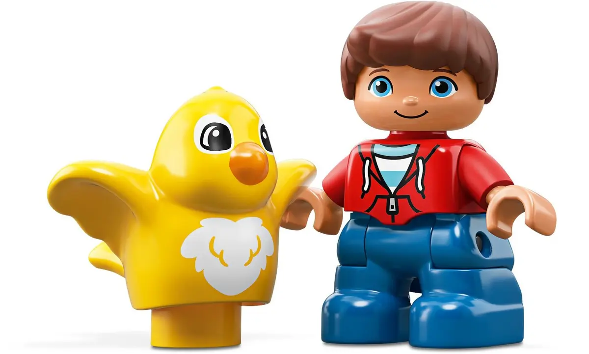 LEGO DUPLO 10887 Creative Fun set, image 5