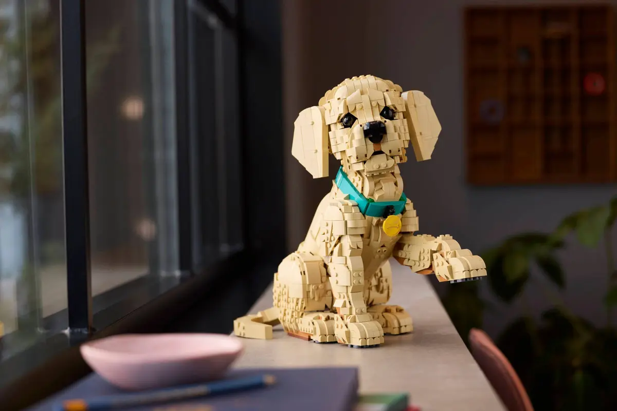 LEGO Icons 11384 Golden Retriever Puppy set, image 11