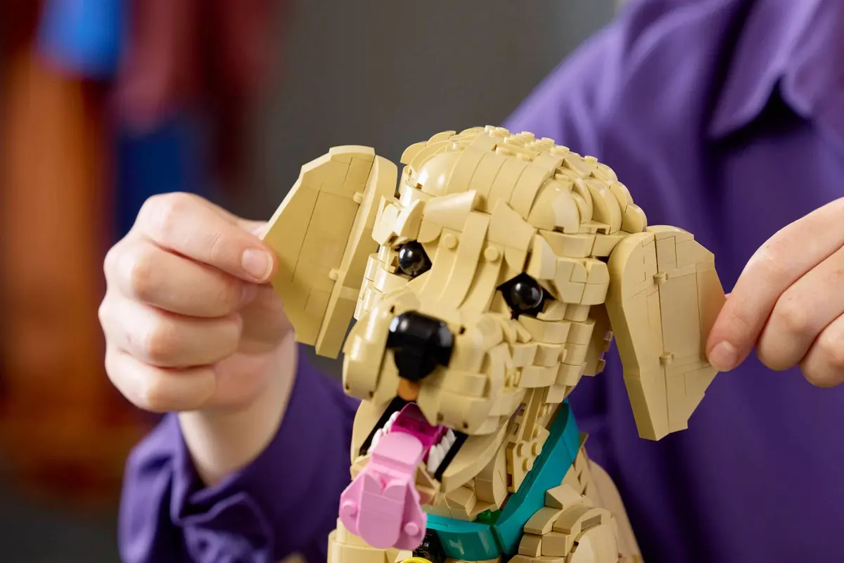 LEGO Icons 11384 Golden Retriever Puppy set, image 8