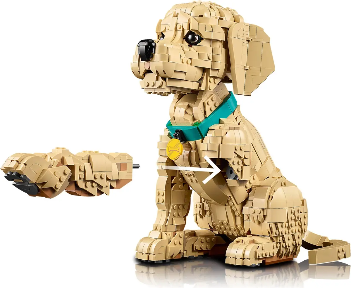 LEGO Icons 11384 Golden Retriever Puppy set, image 17