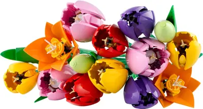 LEGO Botanicals 11501 Tulip Bouquet set