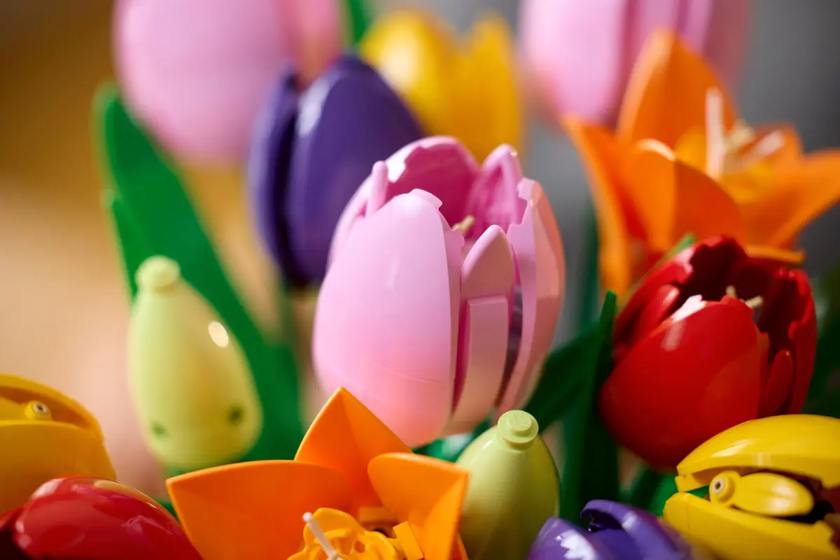 LEGO Botanicals 11501 Tulip Bouquet set, image 5