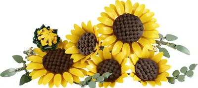 LEGO Botanicals 11502 Sunflower Bouquet set