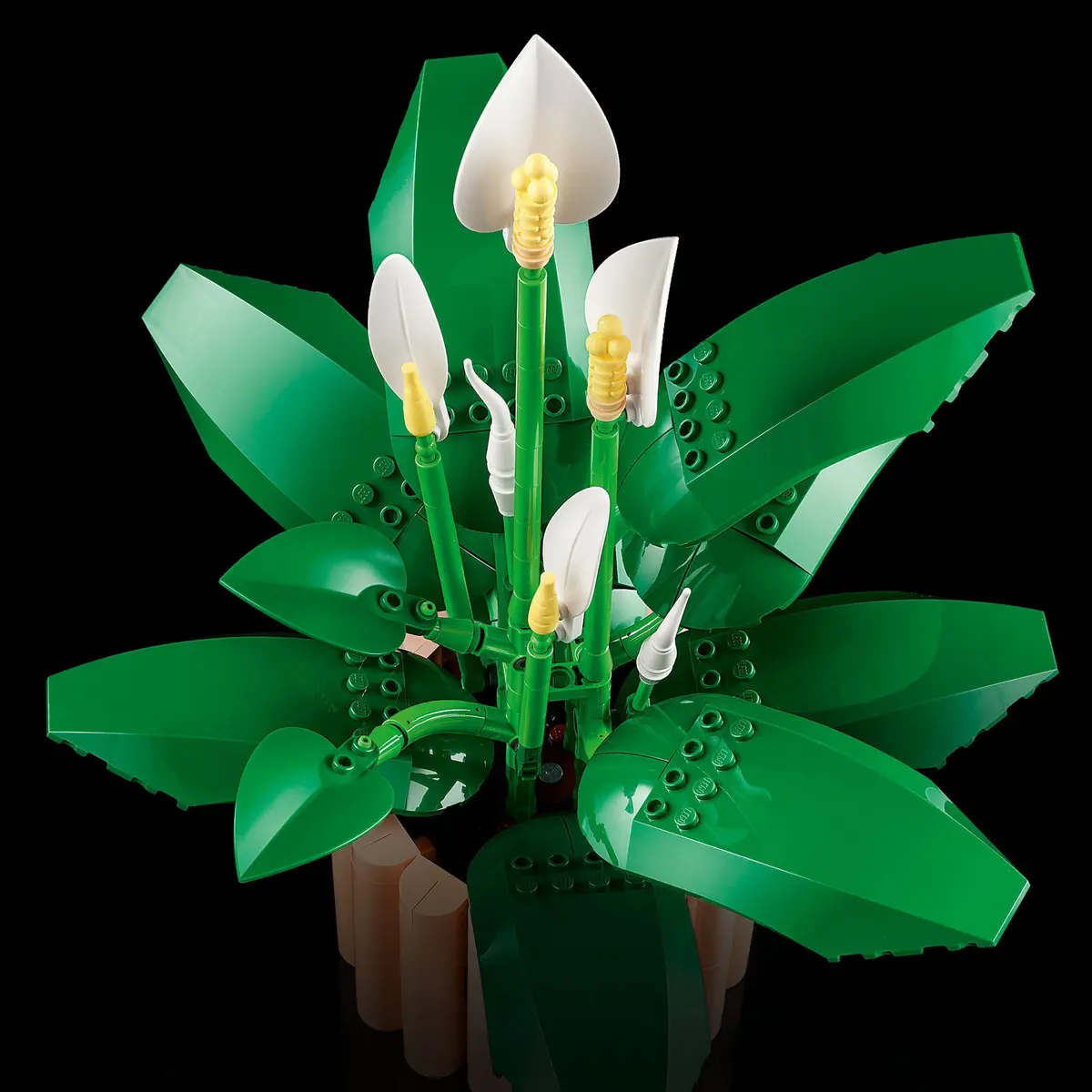 LEGO Botanicals 11504 Peace Lily set, image 5