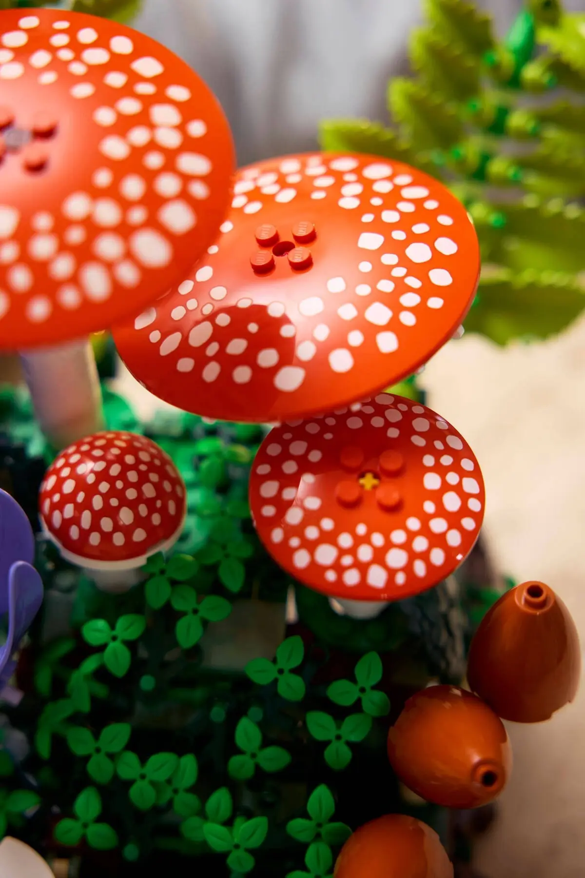 LEGO Botanicals 11505 Woodland Mushrooms set, image 10