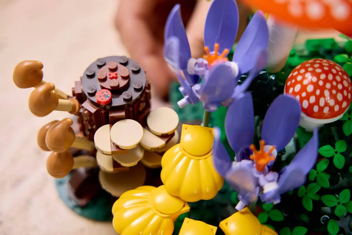 LEGO Botanicals 11505 Woodland Mushrooms set, image 9