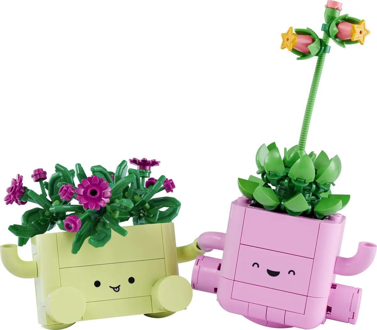 LEGO Botanicals 11506 Rocking Plants set