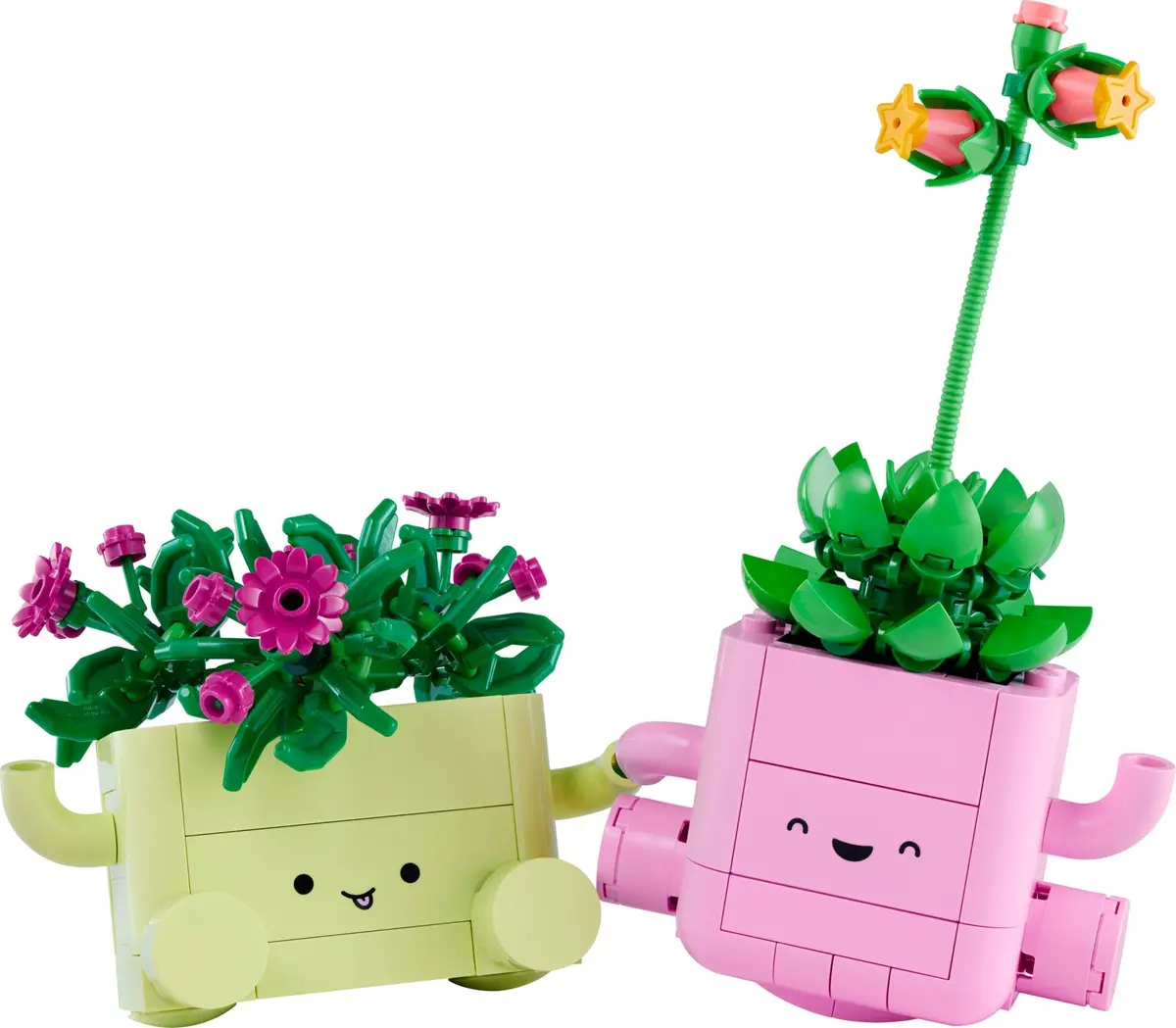 LEGO Botanicals 11506 Rocking Plants set, image 8