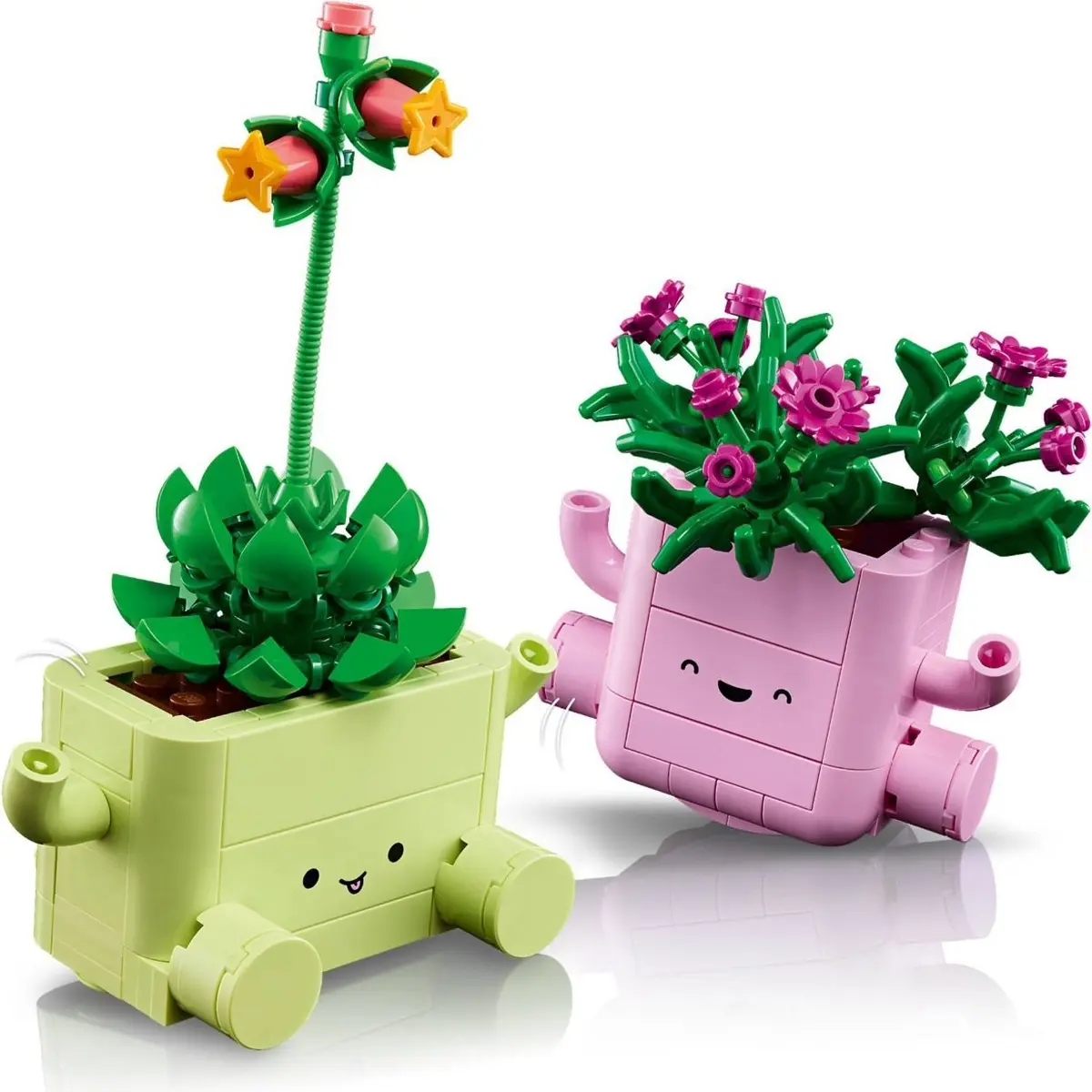 LEGO Botanicals 11506 Rocking Plants set, image 11