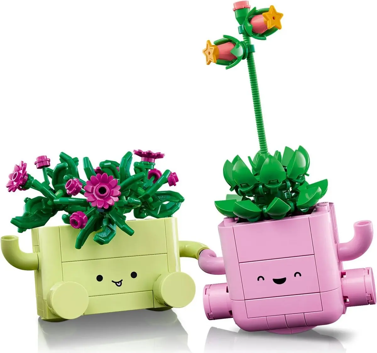 LEGO Botanicals 11506 Rocking Plants set, image 9