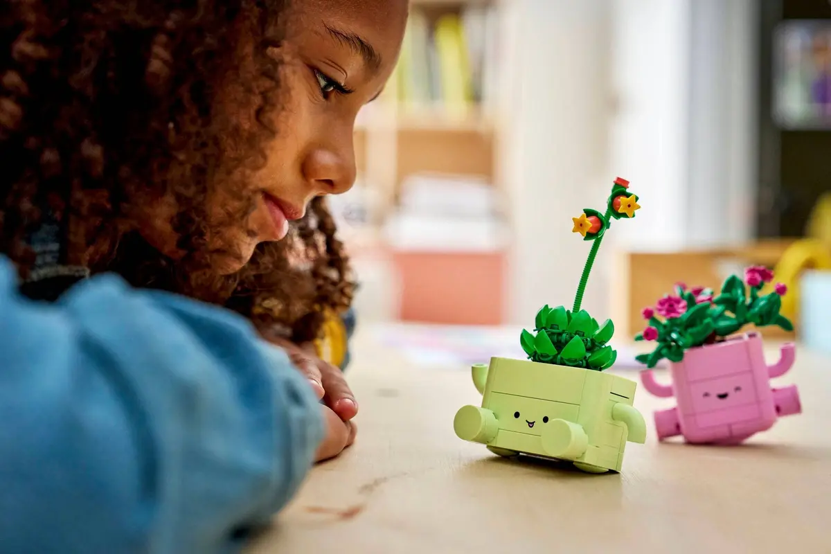LEGO Botanicals 11506 Rocking Plants set, image 6