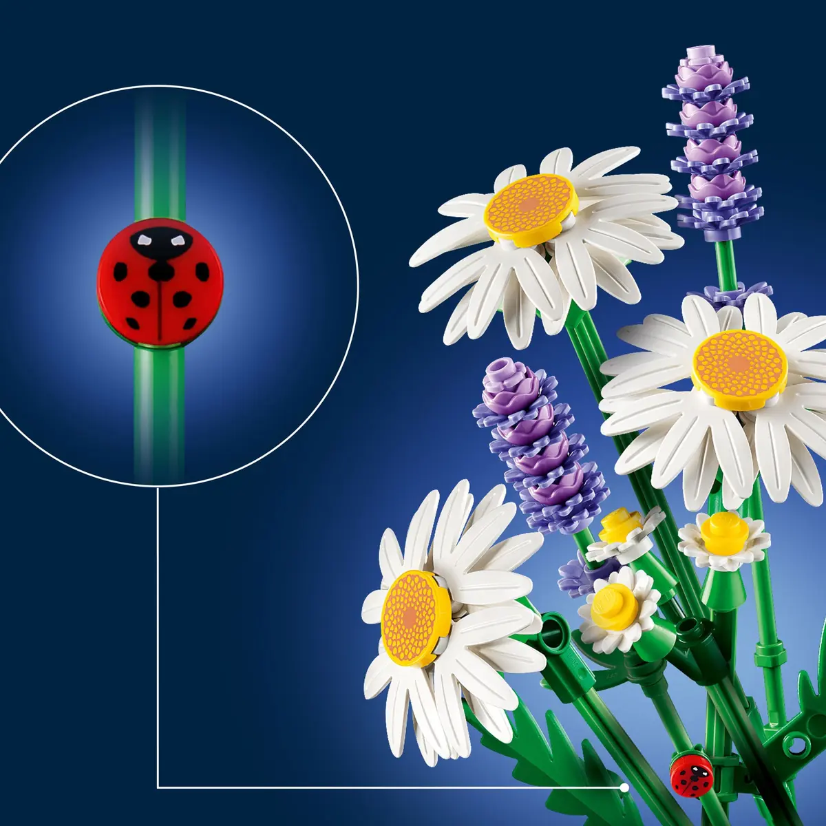 LEGO Botanicals 11508 Daisies set, image 2