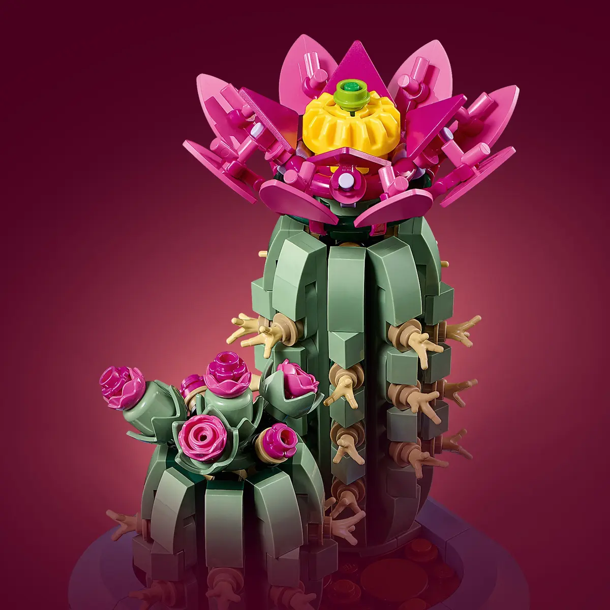 LEGO Botanicals 11509 Flowering Cactus set, image 4