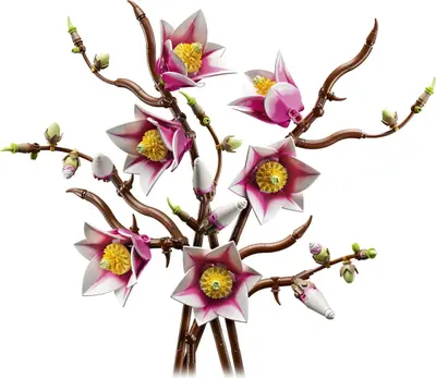 LEGO Botanicals 11510 Magnolia Branches set
