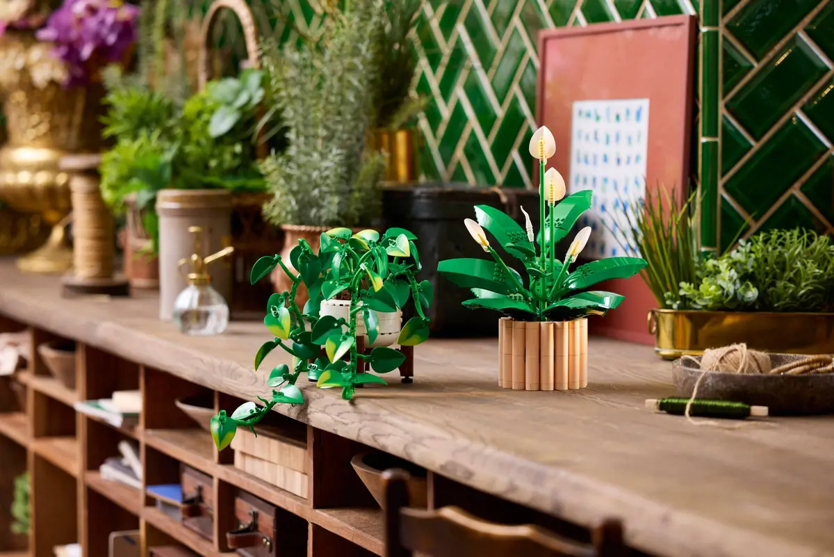 LEGO Botanicals 11512 Hanging Golden Pothos set, image 3