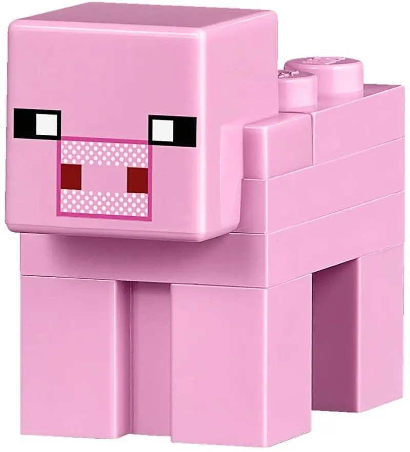 LEGO Minecraft 21133 The Witch Hut set, image 11