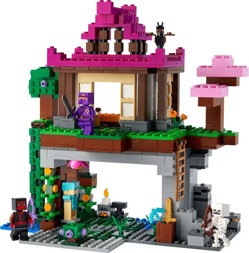 LEGO Minecraft 21183 The Training Grounds set