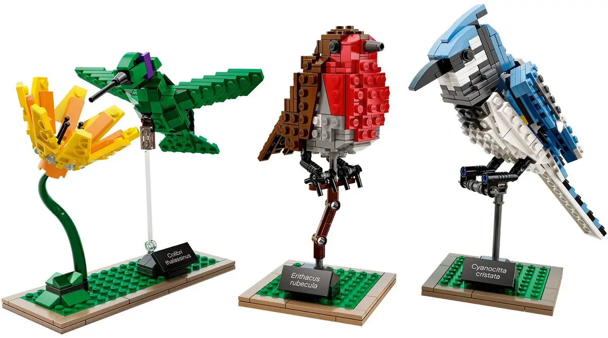 LEGO Ideas 21301 Birds set