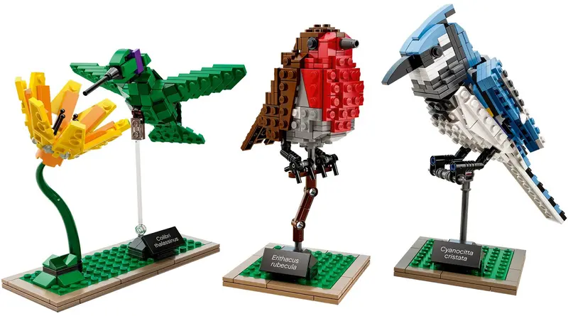 LEGO Ideas 21301 Birds set