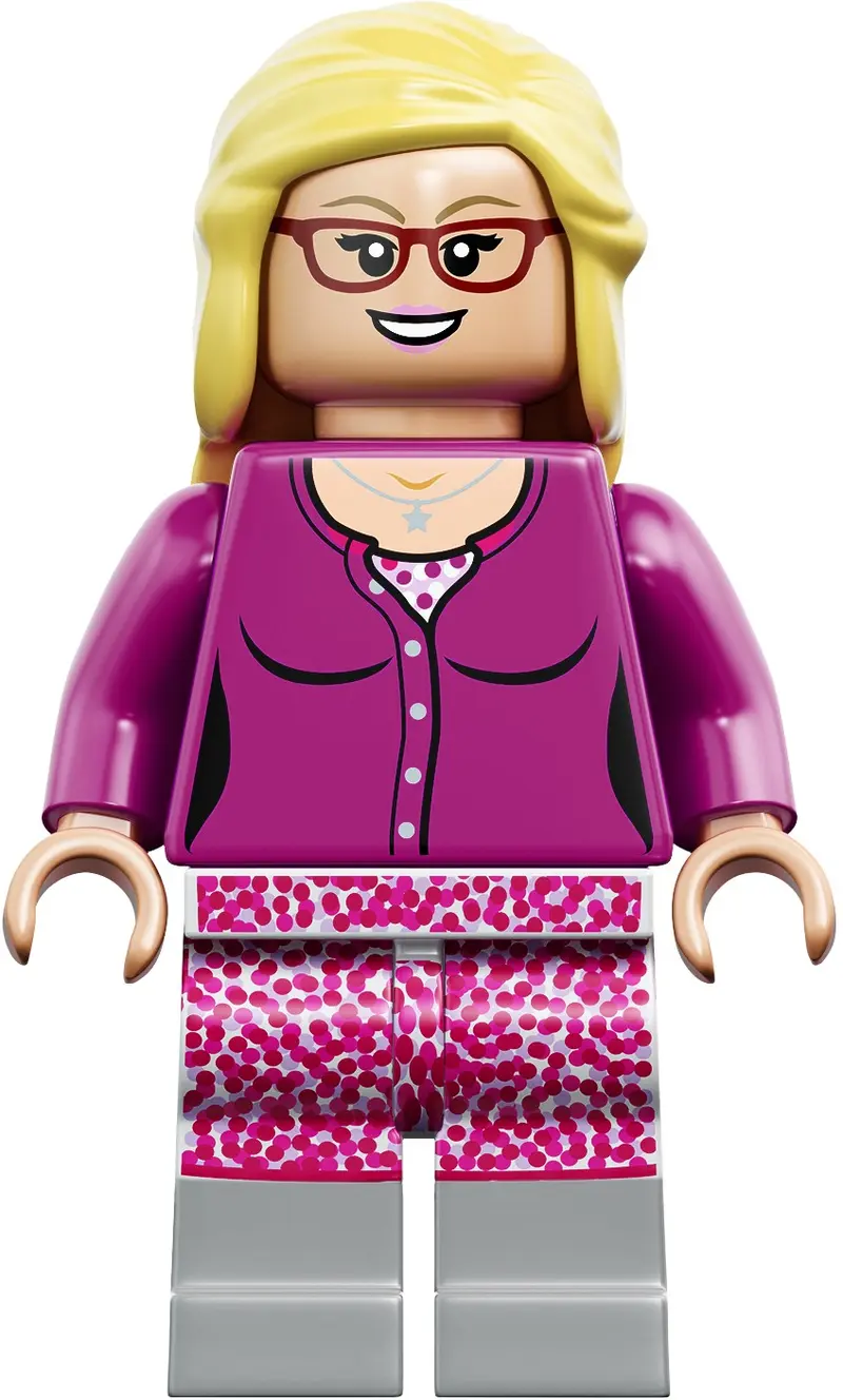 LEGO Ideas 21302 The Big Bang Theory set, image 9