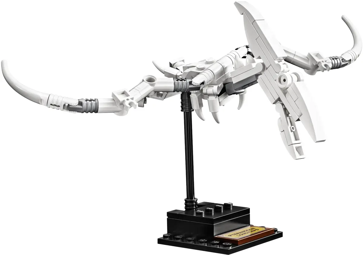 LEGO Ideas 21320 Dinosaur Fossils set, image 6