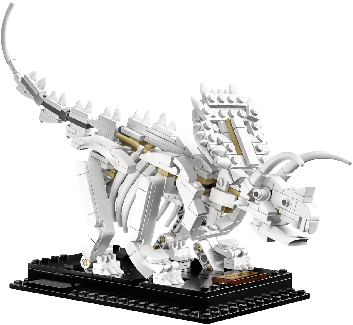 LEGO Ideas 21320 Dinosaur Fossils set, image 5